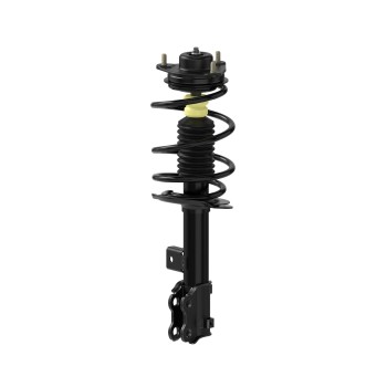 Suspension Strut and Coil Spring Assembly