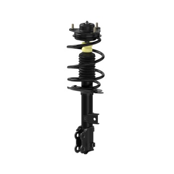 Suspension Strut and Coil Spring Assembly