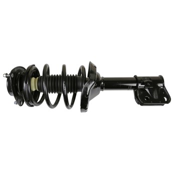 Suspension Strut and Coil Spring Assembly