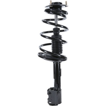 Suspension Strut and Coil Spring Assembly