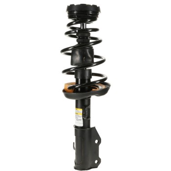 Suspension Strut and Coil Spring Assembly