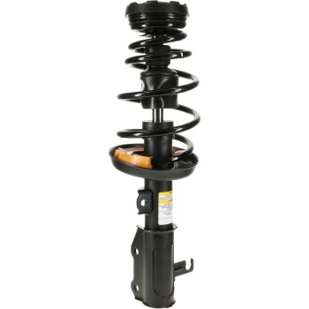 Suspension Strut and Coil Spring Assembly