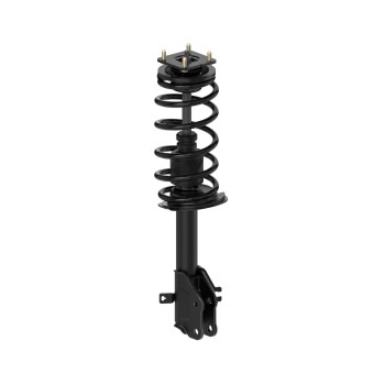 Suspension Strut and Coil Spring Assembly