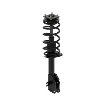 Suspension Strut and Coil Spring Assembly