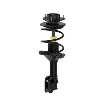 Suspension Strut and Coil Spring Assembly