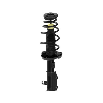 Suspension Strut and Coil Spring Assembly