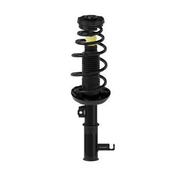 Suspension Strut and Coil Spring Assembly