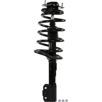 Suspension Strut and Coil Spring Assembly