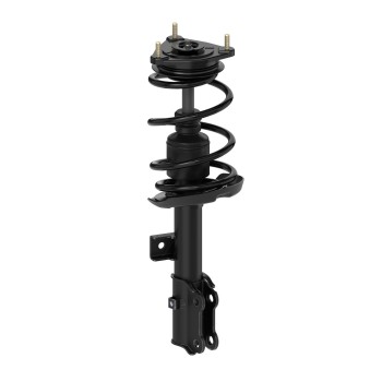 Suspension Strut and Coil Spring Assembly