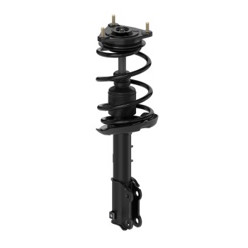 Suspension Strut and Coil Spring Assembly