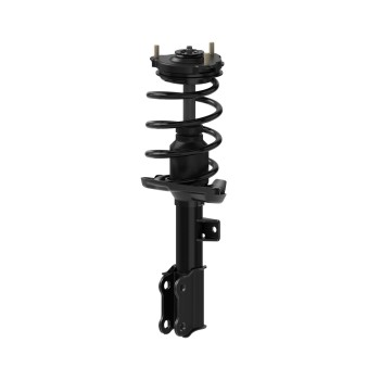 Suspension Strut and Coil Spring Assembly
