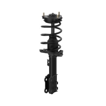 Suspension Strut and Coil Spring Assembly