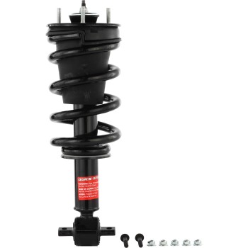 Suspension Strut and Coil Spring Assembly