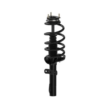 Suspension Strut and Coil Spring Assembly