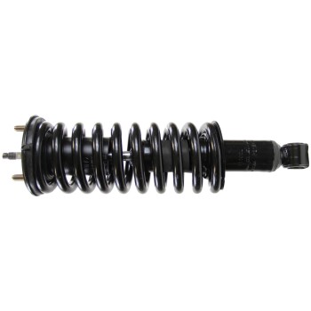 Suspension Strut and Coil Spring Assembly