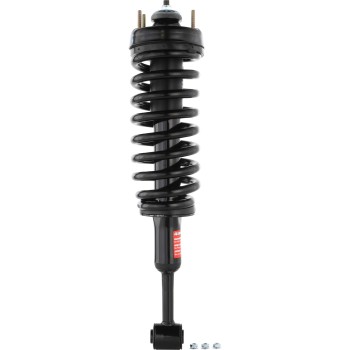 Suspension Strut and Coil Spring Assembly