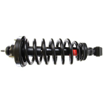 Suspension Strut and Coil Spring Assembly