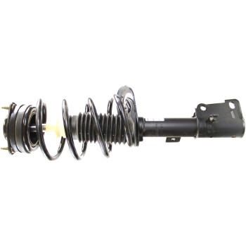 Suspension Strut and Coil Spring Assembly
