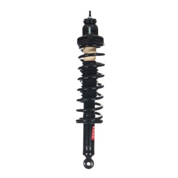 Suspension Strut and Coil Spring Assembly