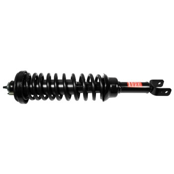Suspension Strut and Coil Spring Assembly