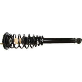 Suspension Strut and Coil Spring Assembly