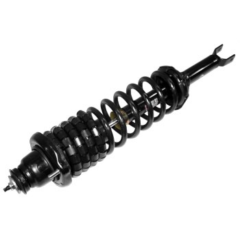 Suspension Strut and Coil Spring Assembly