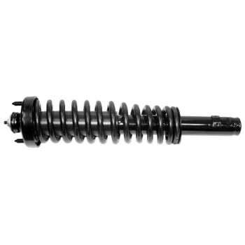 Suspension Strut and Coil Spring Assembly