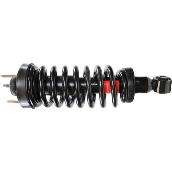 Suspension Strut and Coil Spring Assembly