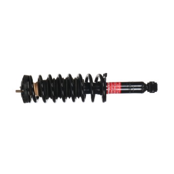Suspension Strut and Coil Spring Assembly