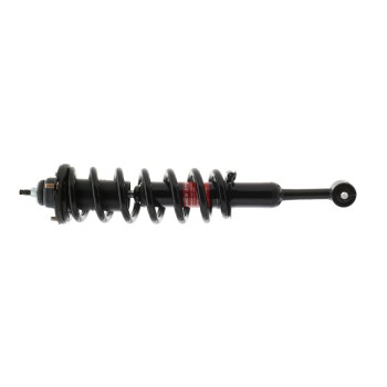 Suspension Strut and Coil Spring Assembly