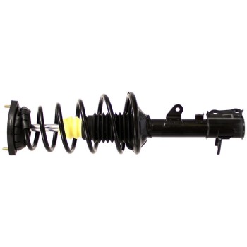 Suspension Strut and Coil Spring Assembly