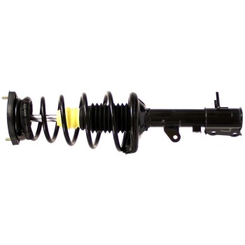 Suspension Strut and Coil Spring Assembly