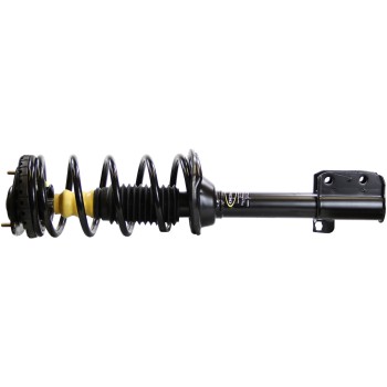 Suspension Strut and Coil Spring Assembly