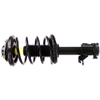 Suspension Strut and Coil Spring Assembly