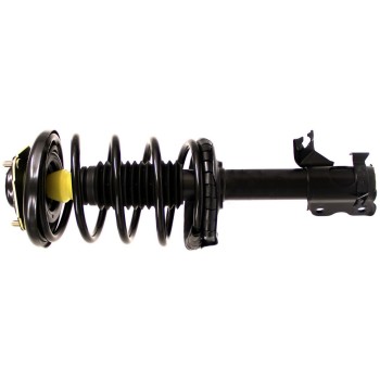 Suspension Strut and Coil Spring Assembly