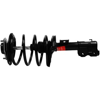 Suspension Strut and Coil Spring Assembly