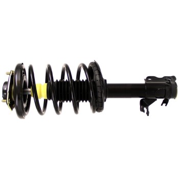 Suspension Strut and Coil Spring Assembly