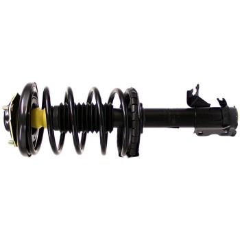 Suspension Strut and Coil Spring Assembly