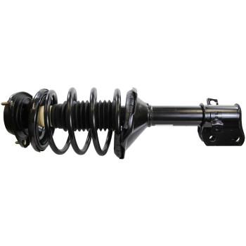 Suspension Strut and Coil Spring Assembly