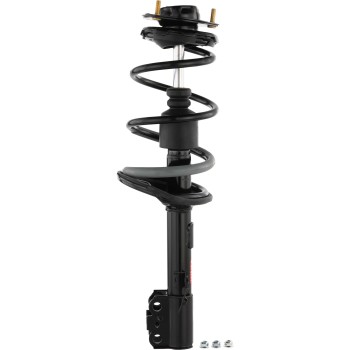 Suspension Strut and Coil Spring Assembly
