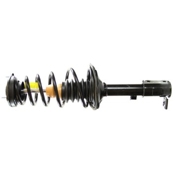 Suspension Strut and Coil Spring Assembly
