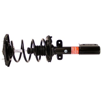Suspension Strut and Coil Spring Assembly