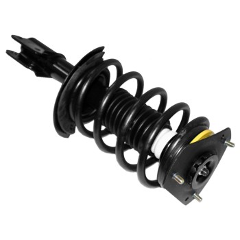 Suspension Strut and Coil Spring Assembly