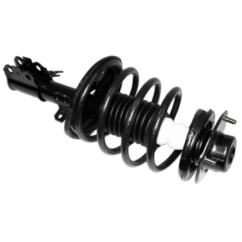 Suspension Strut and Coil Spring Assembly