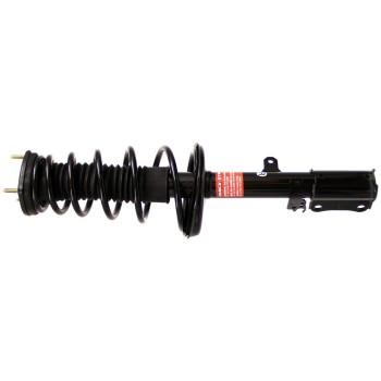 Suspension Strut and Coil Spring Assembly