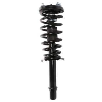 Suspension Strut and Coil Spring Assembly