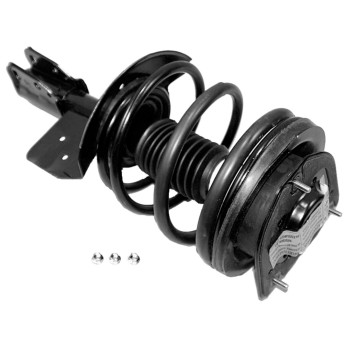 Suspension Strut and Coil Spring Assembly