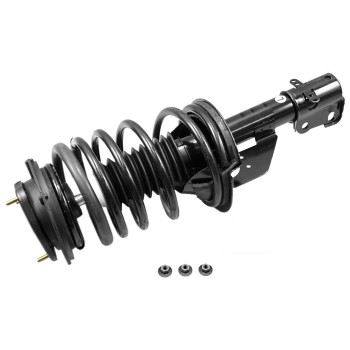Suspension Strut and Coil Spring Assembly