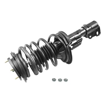 Suspension Strut and Coil Spring Assembly