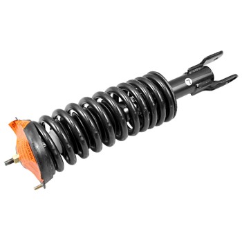 Suspension Strut and Coil Spring Assembly